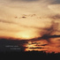 Desolate Horizons