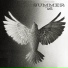 Luchifer