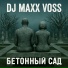 DJ Maxx Voss