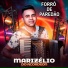 Marizélio do Acordeon