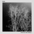 Mute feat. Aon, Wildberry