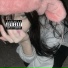 Sephe