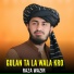 Raza Wazir