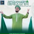 Mahmood Raza Qadri
