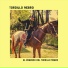 Tordillo Negro