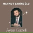 Mahmut Şahinoğlu