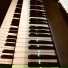 Mr.D pianist