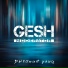 Gesh Moderator