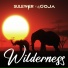 Suleymer, DJ Goja