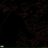 dmtplug, qwe F9?, ixizol, nocursed, shadowgang