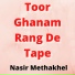 Nasir Methakhel