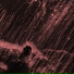 Micronoise Paranoic Sound