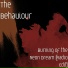 The Behaviour