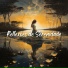 Música para Relaxar Maestro
