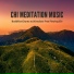 Tai Chi Stars