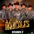Grupo Radicales
