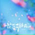 菜圆圆