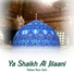 Rafique Raza Qadri