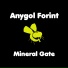 Anygol Forint
