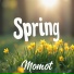 Momot