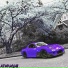 PVRVDOX