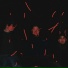 Xaname