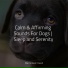 Music For Dogs, Calm Doggy, Music for Calming Dogs