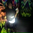 Launt5
