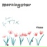 the morning star