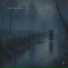 The Rainroom Archives