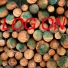 Log On