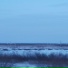 travka12