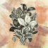 Wildflower