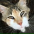 Christell