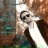 Mehdi Moradi