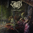 Coffin Rot
