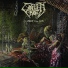Coffin Rot