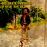 The Aggrovators, King Tubby