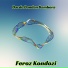 Feroz Kondoozi