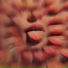 Eye of Scadi