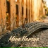 Mira Harsya