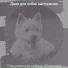 Джаз для собак настроения