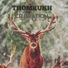 Thomrukh