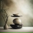 Zen Arena