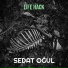 Sedat Oğul