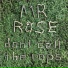 Mr. Rose