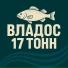 MC Дмитриевич