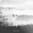 Filterscape