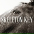 The Frozen Ocean - Skeleton Key (2015)