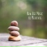 Meditation Zen Master